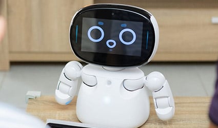 Social robot